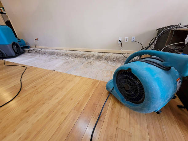 Professional Flood Damage Cleanup technician working in Pinetops, NC